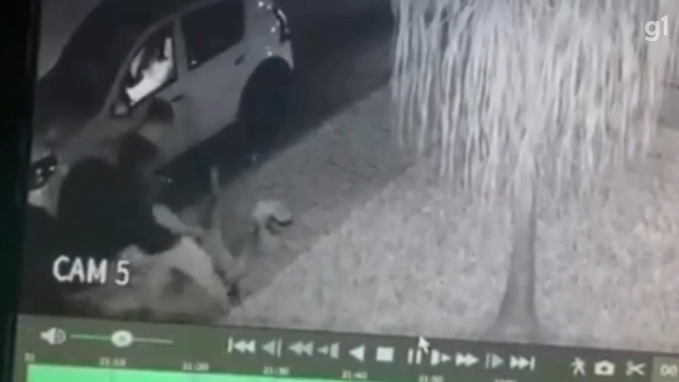 Vídeo mostra novo ângulo de agressão a sem teto que fez sexo com esposa de personal no DF — Foto: Reprodução