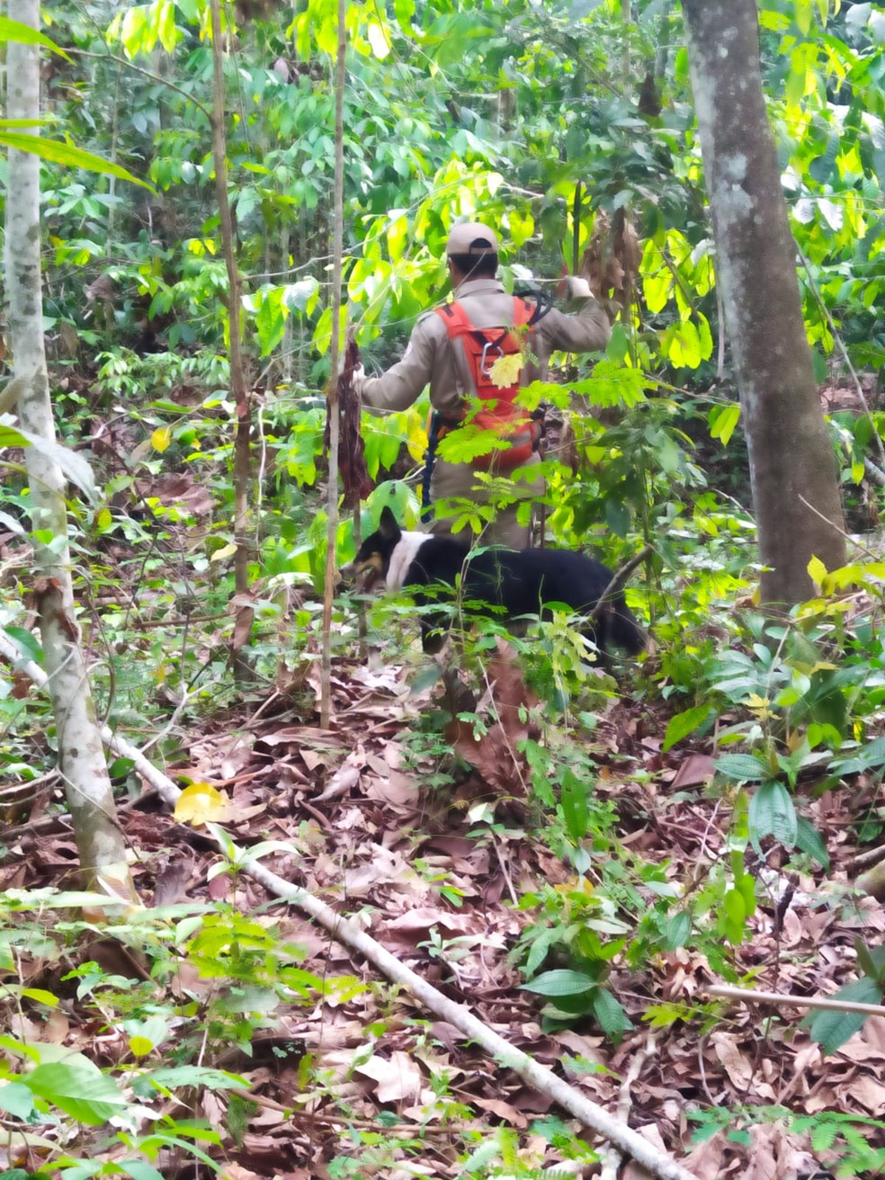 Bombeiros fazem buscas por trabalhador de 47 anos desaparecido em MT — Foto: CBM/MT