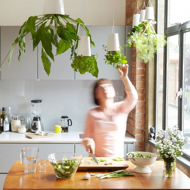 10 ideias para ter uma horta requintada dentro de casa (Foto: Divulgação)