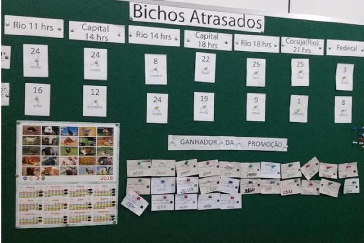 Resultado Do Jogo Do Bicho De Santa Catarina