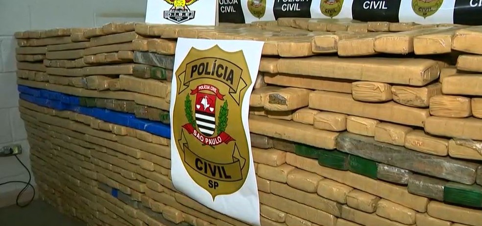 Dise apreendeu 1,1 tonelada de maconha em caminhão em Hortolândia — Foto: Reprodução/EPTV