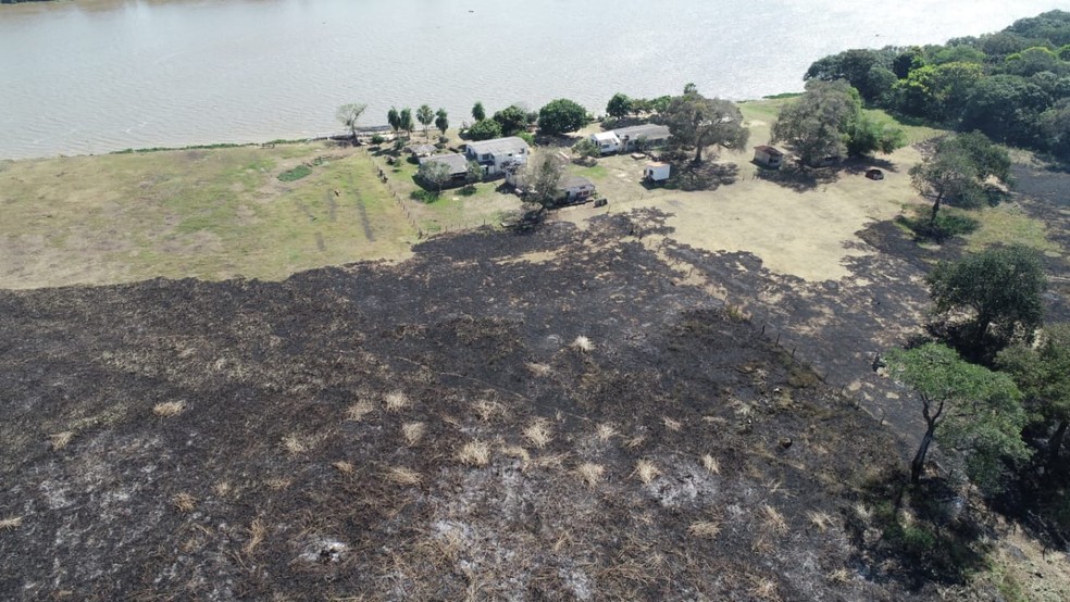Área queimada em Corumbá (MS), no Pantanal sul-mato-grossense — Foto: Corpo de Bombeiros/Divulgação