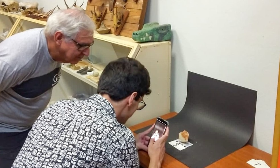 Pesquisadores da UFTM realizam o registro fotográfico dos fósseis recebidos no CCCP — Foto: UFTM/Divulgação
