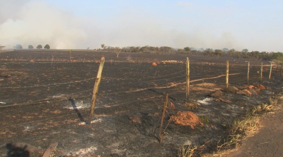 Incêndio destruiu também um pasto na região (Foto: Reprodução/TV TEM)