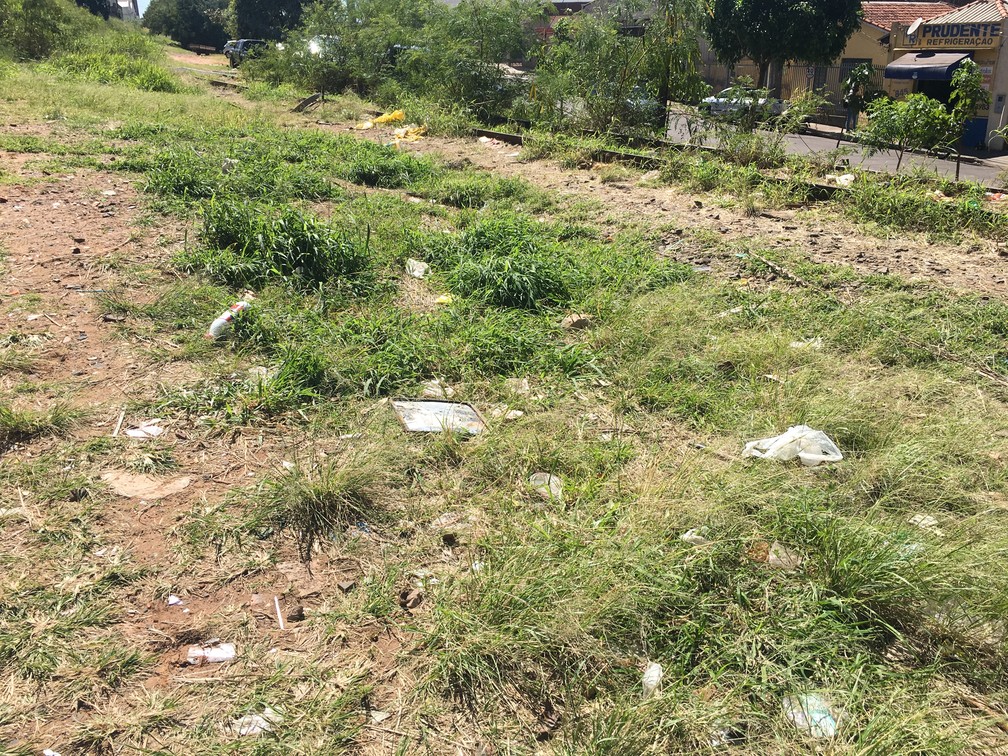 Ferrovia está abandonada na região de Presidente Prudente — Foto: Aline Costa/G1