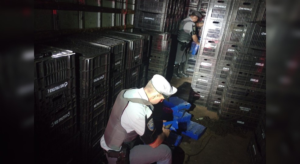 A droga estava escondida atrás de centenas de caixas de plástico vazias.  — Foto: Polícia Militar/Divulgação