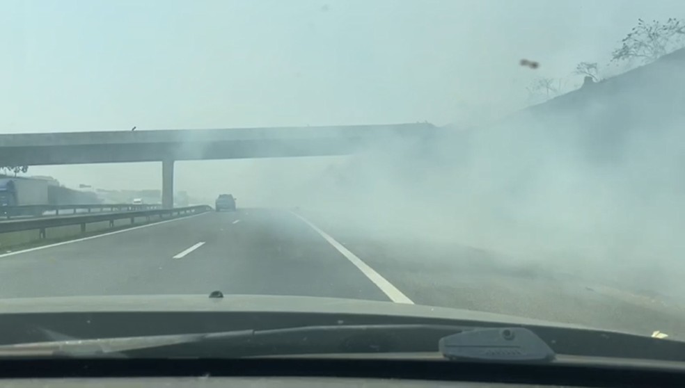 Incêndio em área de mata forma nuvem de fumaça e dificulta tráfego no Anel Viário — Foto: Rebeca Dias/EPTV