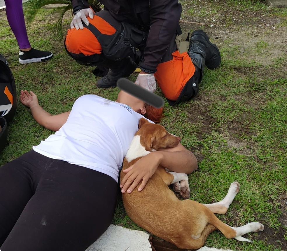 Cão ficou ao lado da motociclista durante todo o procedimento de socorro realizado pela equipe de bombeiros — Foto: Corpo de Bombeiros/Divulgação