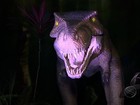Exposição Mundo Jurássico chega a Aracaju com réplicas de dinossauros