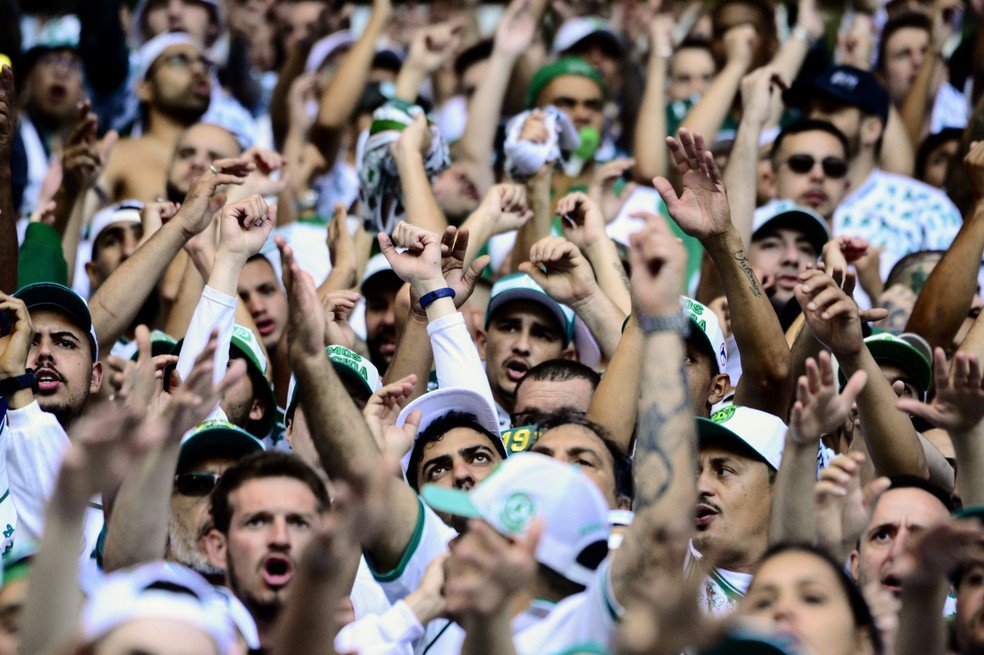 Palmeiras x São Paulo: mais de 37 mil ingressos vendidos para o clássico