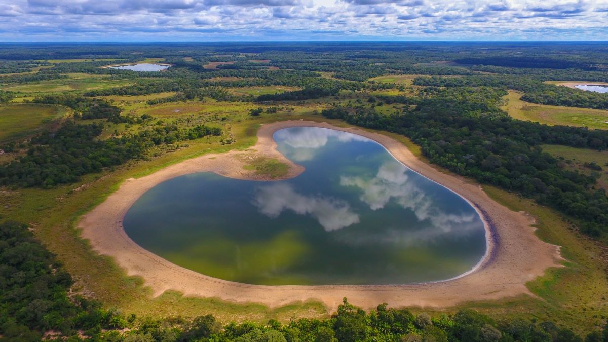O bioma pode filtrar a água, controlar vazões e ainda regular cheias (Foto: Silas Miotti / WWF Brasil)