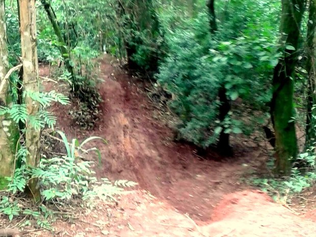 Últimas Notícias - Ladrão de motos de trilha também fez vítima no interior  paulista - MotoX