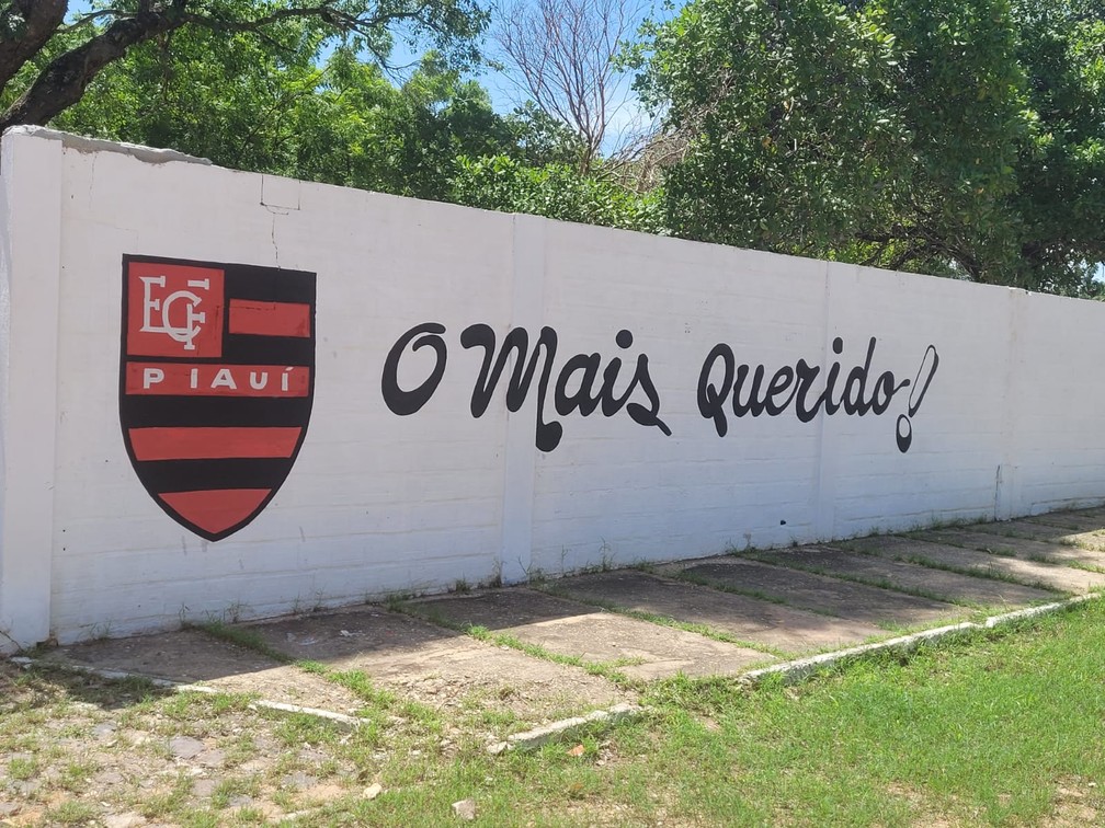 CT do Piauí ganha escudo do Flamengo-PI  — Foto: Reprodução