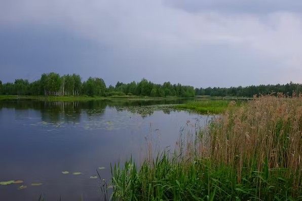 Lago Glyboke, Zona de Exclusão de Chernobyl (Ucrânia) em 2019 (Foto: Reprodução/Amazon)