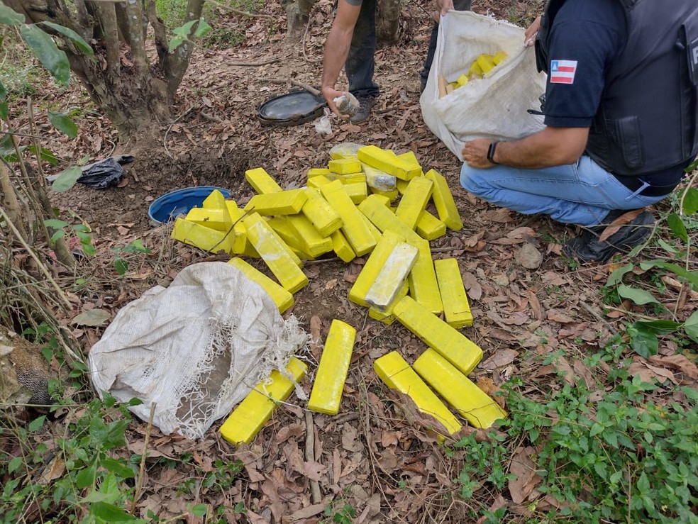 Porções de maconha e cocaína, além de carregador de fuzil são achados enterrados no sul da Bahia — Foto: Polícia Civil