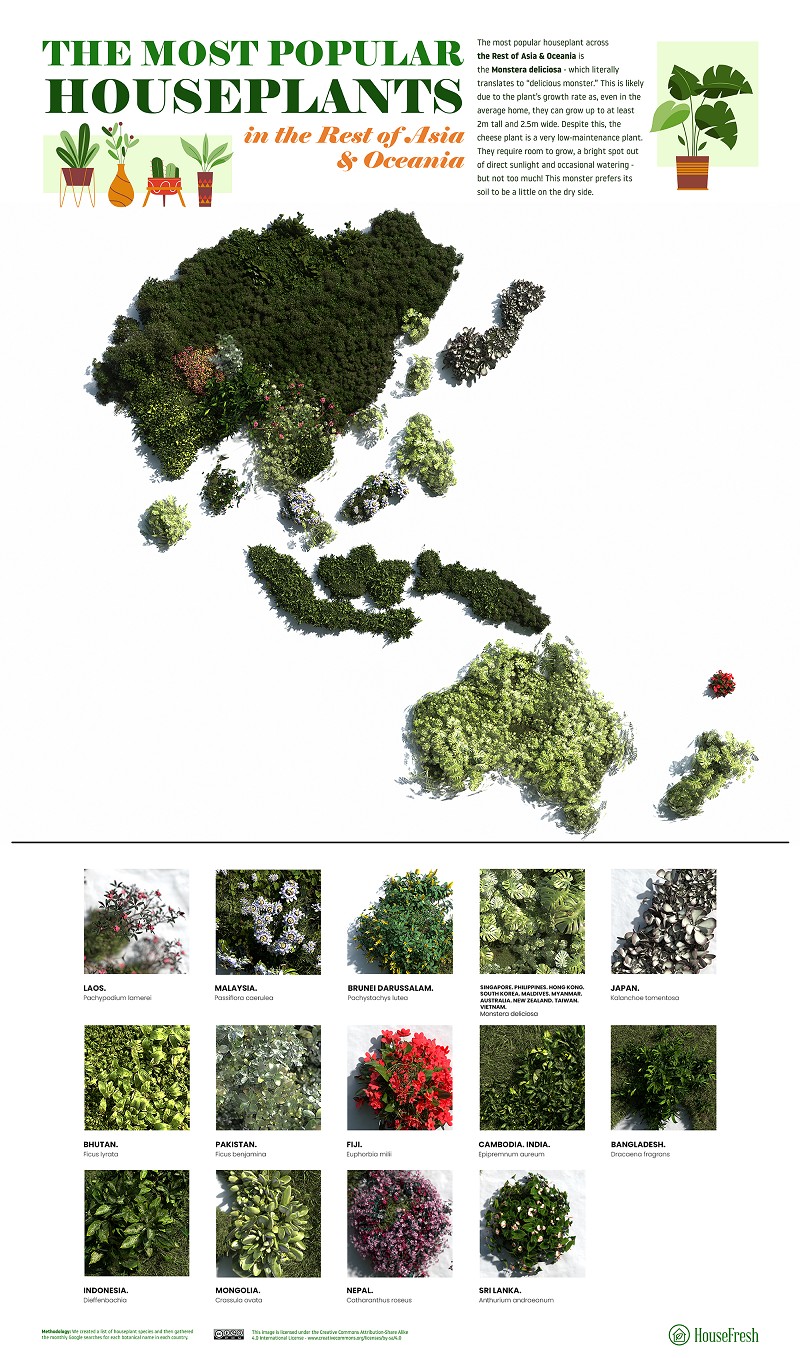 Mapa em HD com as plantas mais populares  (Foto: HouseFresh / Divulgação)