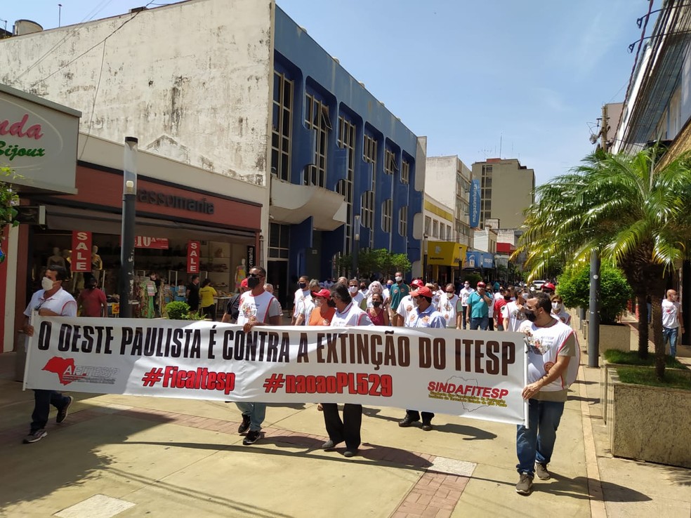 Manifestação foi nesta quarta-feira (16), no Centro de Presidente Prudente — Foto: Afitesp/Cedida 