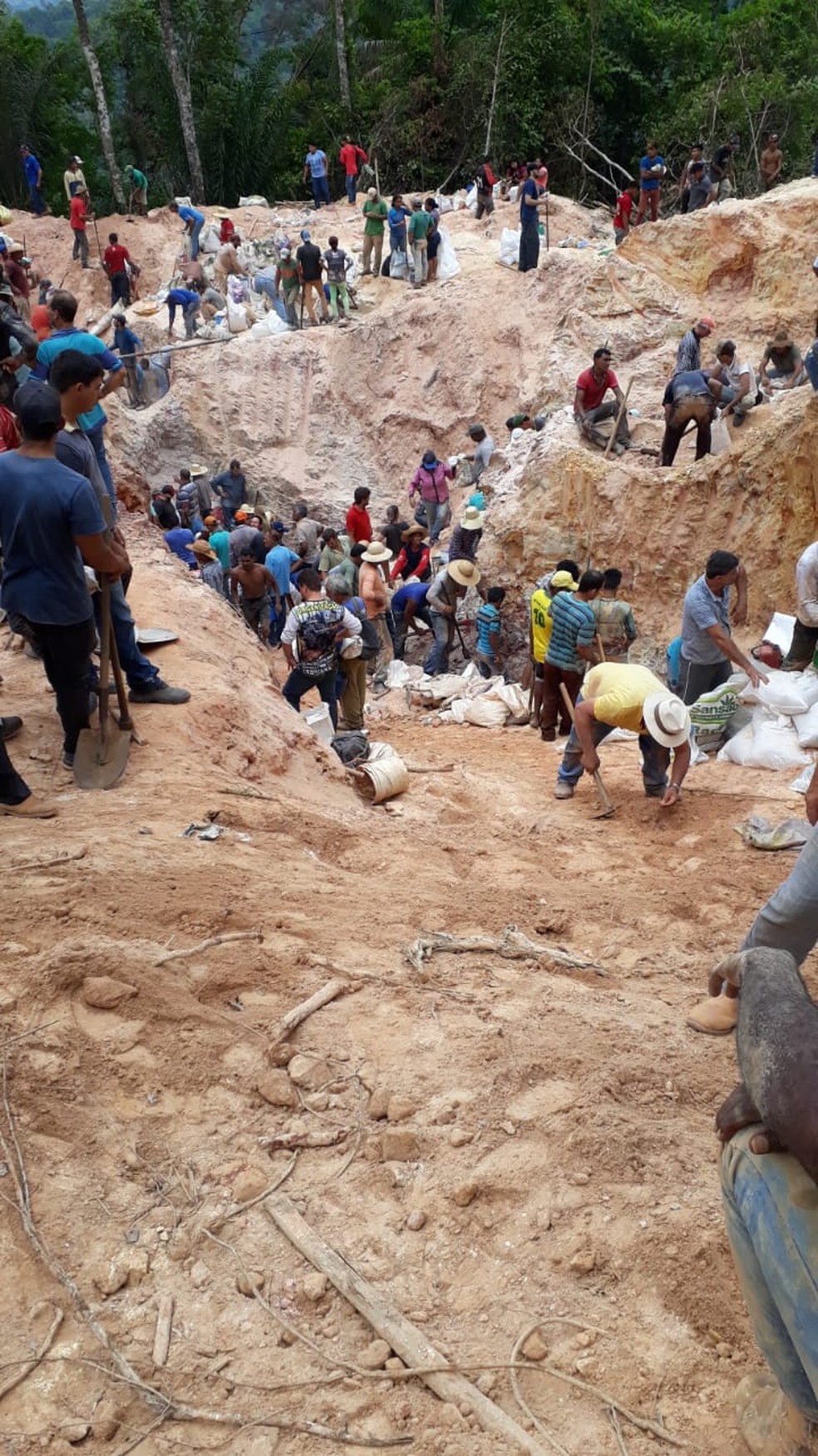 Pessoas em busca de ouro em garimpo ilegal — Foto: Divulgao