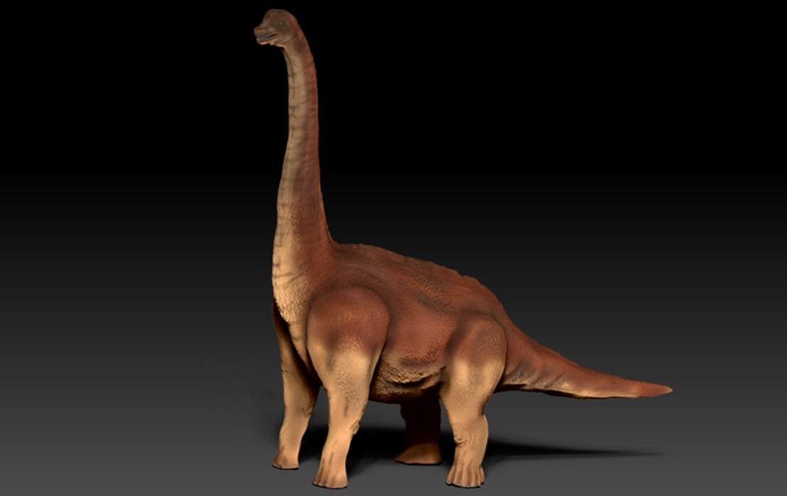 Reconstrução 3D de dinossauro saurópode (Foto: Dr Andreas Jannel)