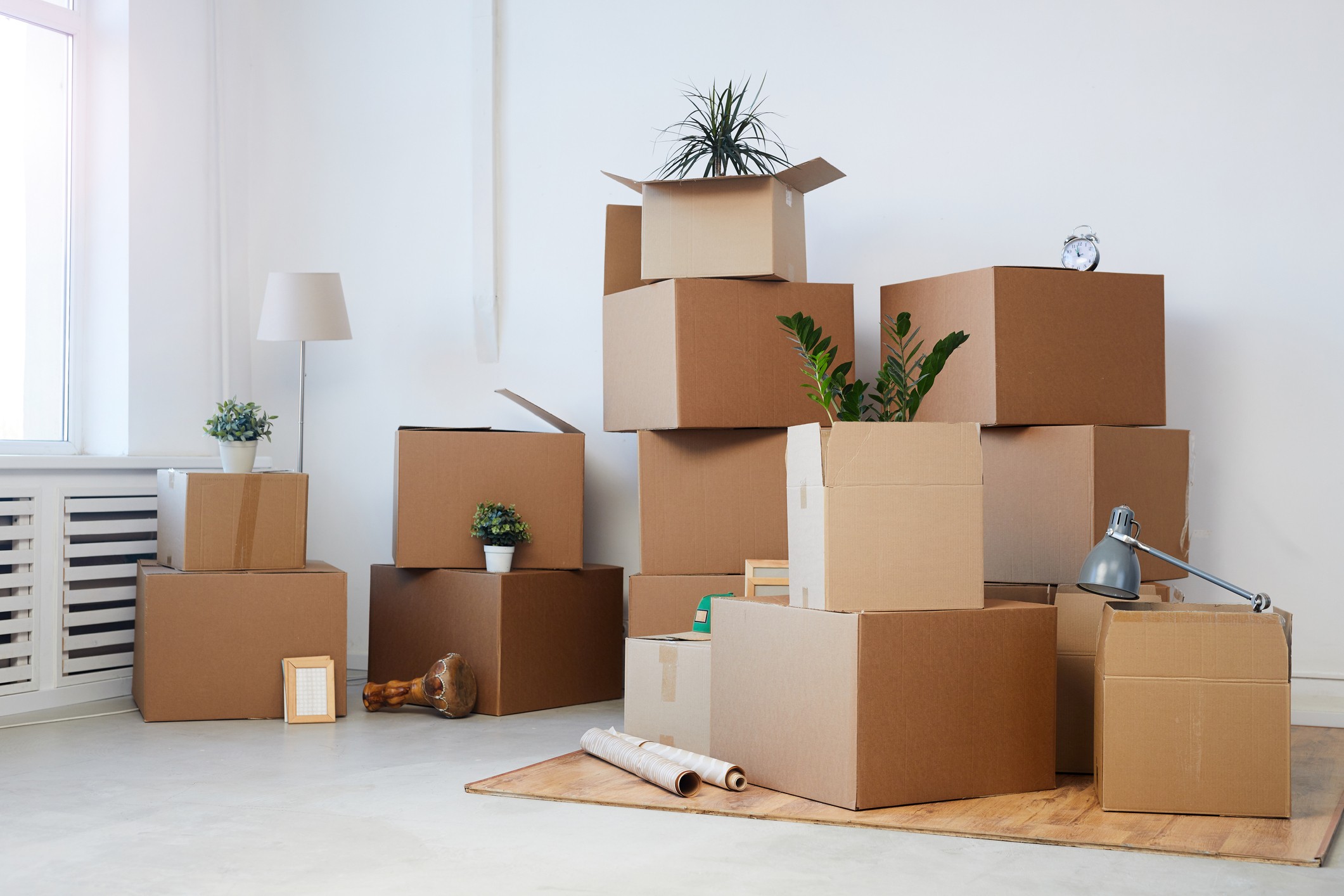 Minimal background image of cardboard boxes stacked in empty room with plants and personal belongings inside, moving or relocation concept, copy space (Foto: Getty Images/iStockphoto)