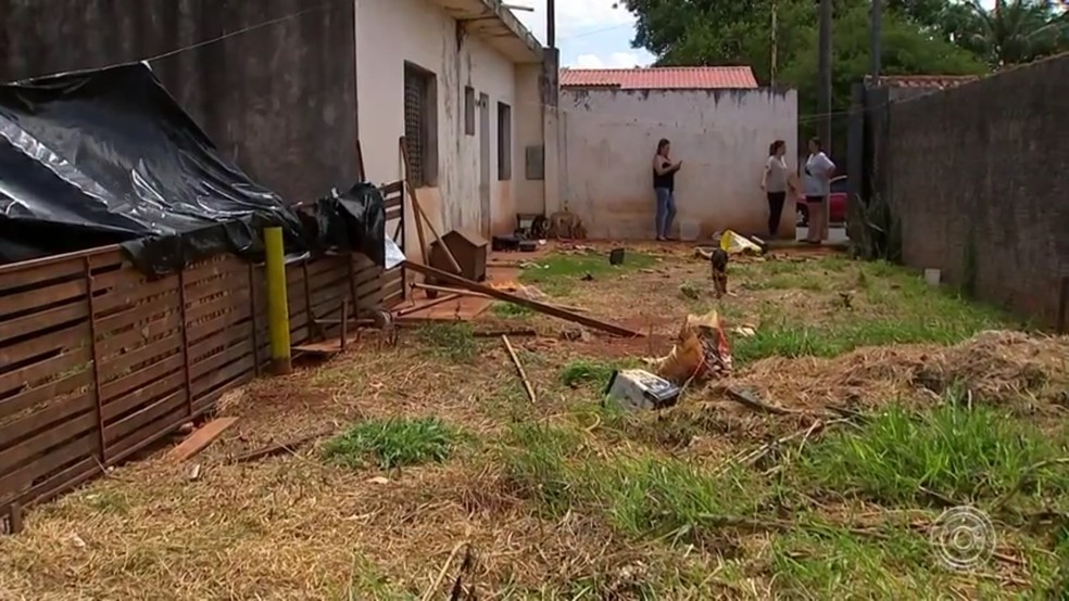 Terreno onde animais foram encontrados estava sujo em Itapetininga â€” Foto: ReproduÃ§Ã£i/TV TEM