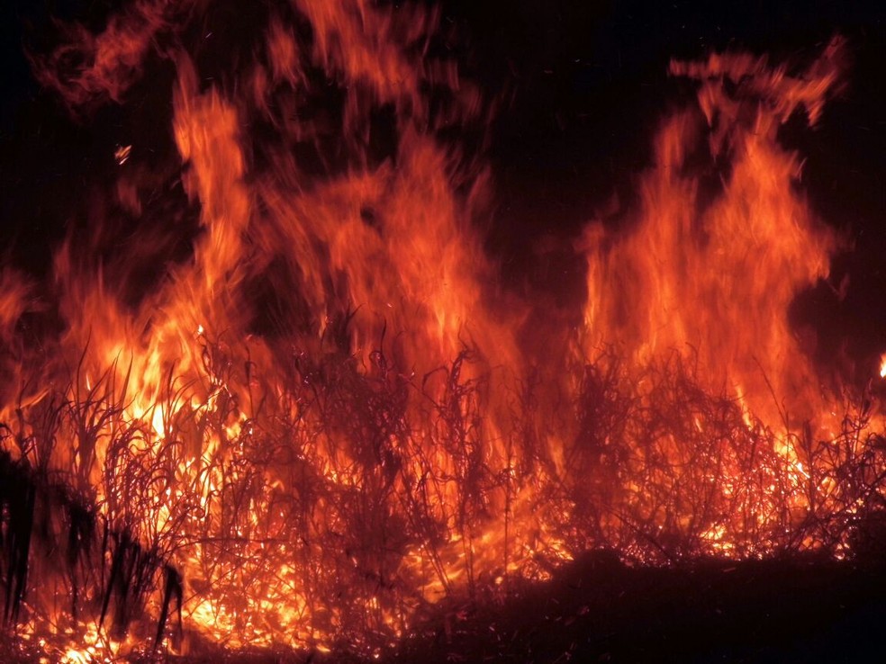 Incêndio destruiu vegetação na cidade de Brejões, no sudoeste da Bahia — Foto: Jair Medrado