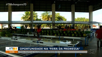 Feira da região sul de Palmas está com vagas abertas para novos feirantes