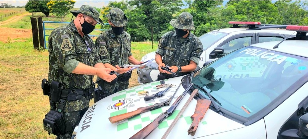 Foram apreendidas nove armas de fogo e diversas munições — Foto: Polícia Ambiental