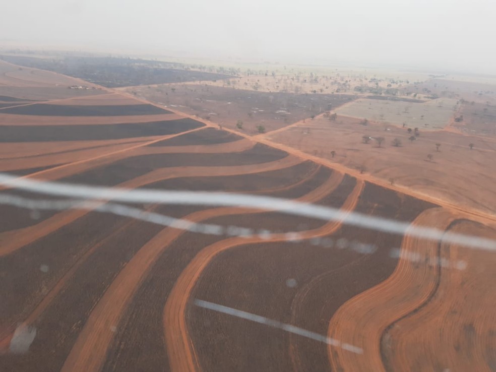 Incêndio atinge Parque Estadual do Aguapeí — Foto: Defesa Civil