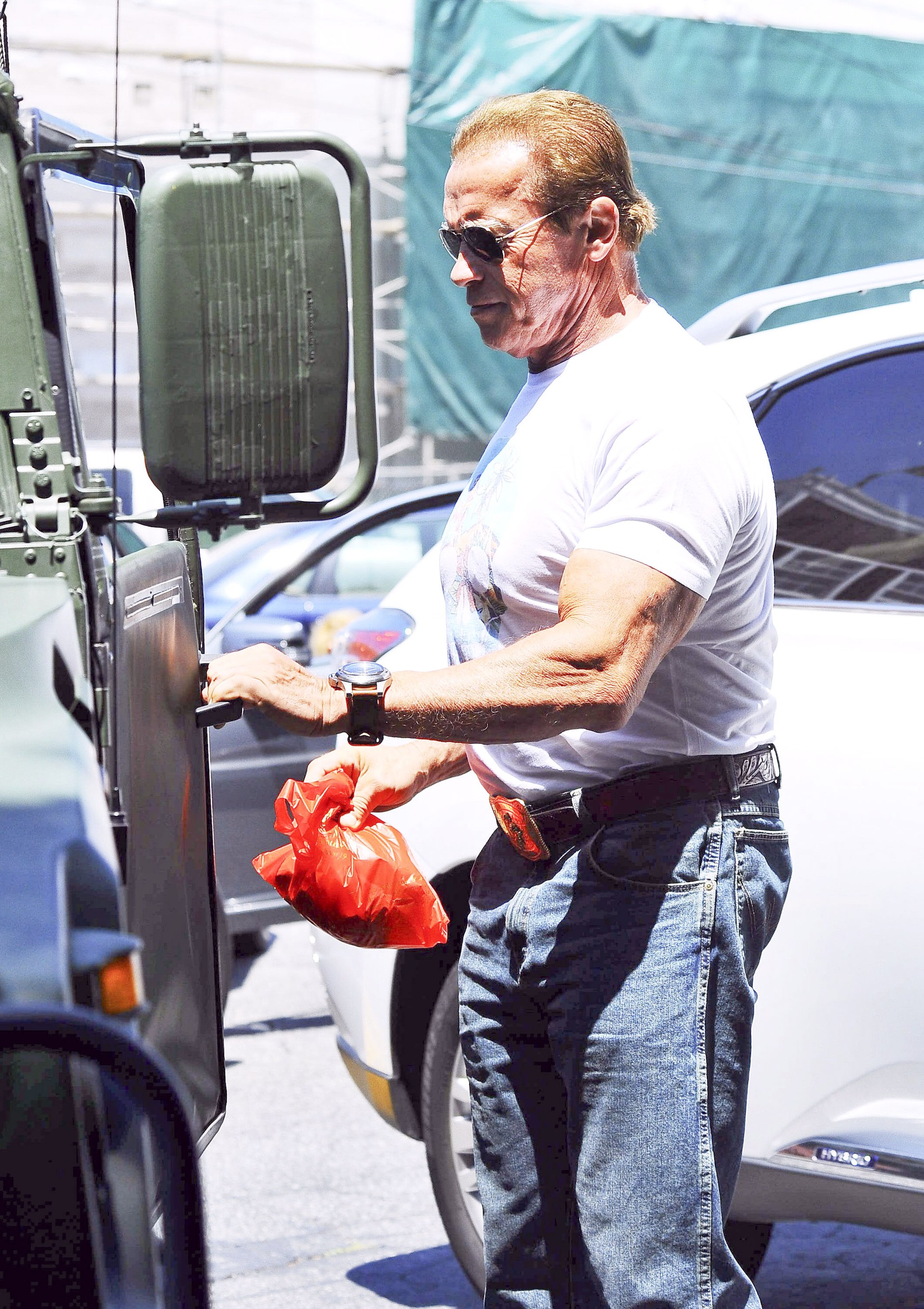 Arnold Schwarzenegger (Foto: The Grosby Group)