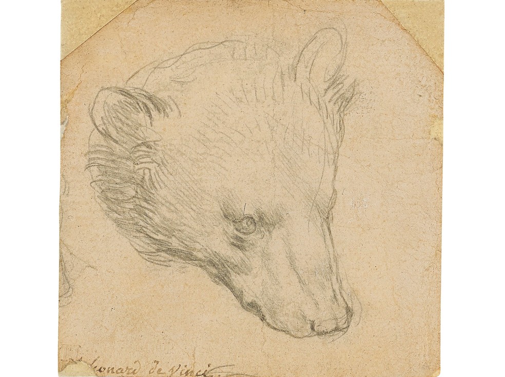 "Cabeça de Urso", de Leonardo Da Vinci — Foto: Christie's2021 via Reuters