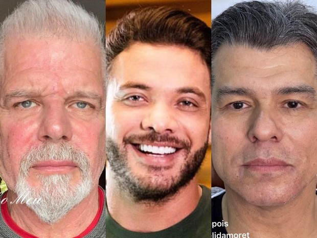 Raul Gazolla, Wesley Safadão e Maurício Mattar fizeram harmonização facial (Foto: Reprodução/Instagram)