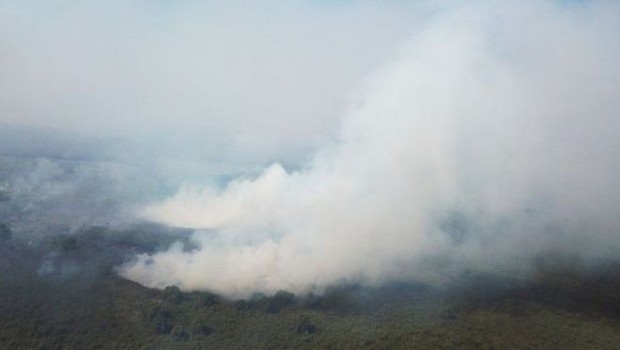 Com período de extrema seca, Pantanal viu o fogo tomar conta de parte de sua área nos últimos meses (Foto: POLÍCIA MILITAR AMBIENTAL/MS)