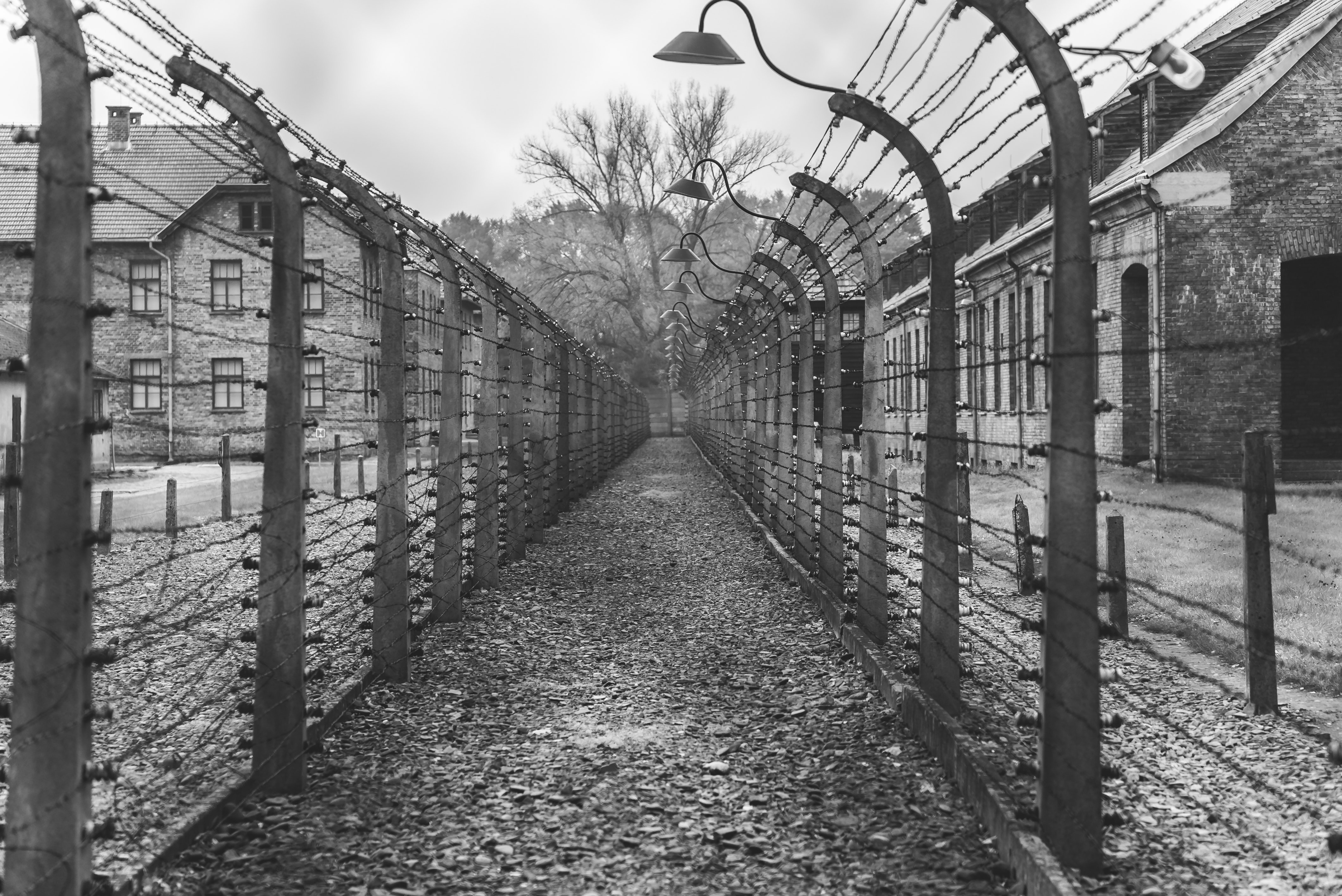 Holocausto (Foto: Karsten Winegeart via Unsplash)