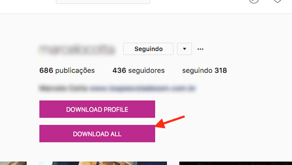 Plugin Baixa Pacote Com Todas As Fotos Do Instagram Incluindo Stories Redes Sociais Techtudo