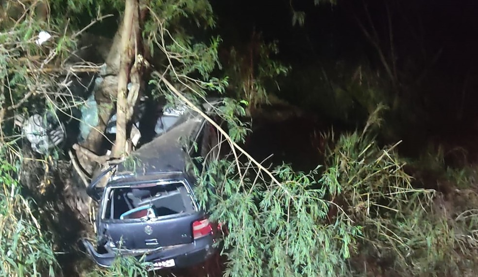 Carro ficou suspenso após bater em árvore em Piracicaba — Foto: Arquivo pessoal