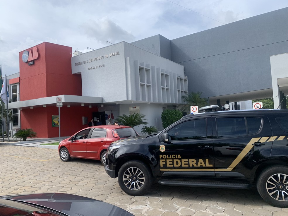 Falsa médica é presa em flagrante na sede da OAB — Foto: Divulgação/OAB-PI