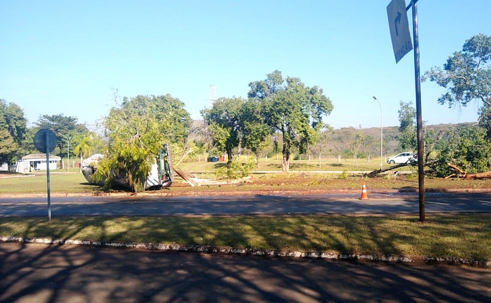 Caminhão derrubou algumas árvores próximo à entrada da ponte sobre a hidrelétrica de Ibitinga — Foto: Arquivo pessoal