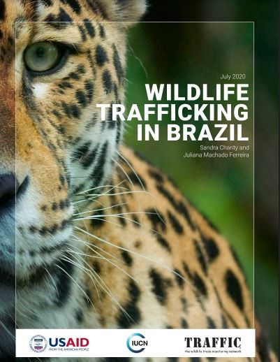 tráfico-animais-brasil-relatório (Foto: Reprodução/USAID)