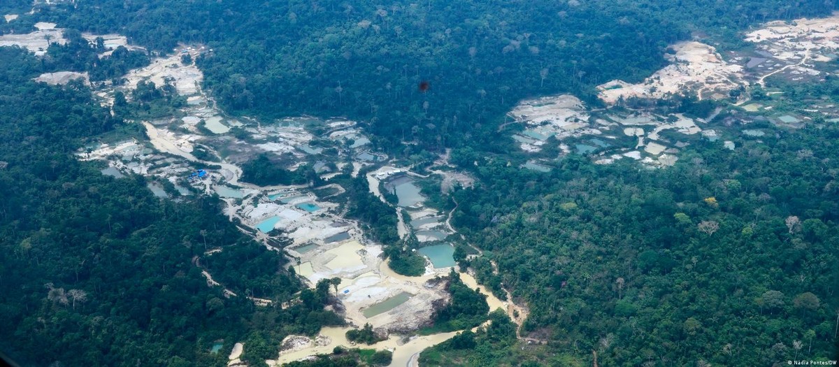 A Amazônia consumida por fogo e garimpo vista do alto | Amazônia | G1