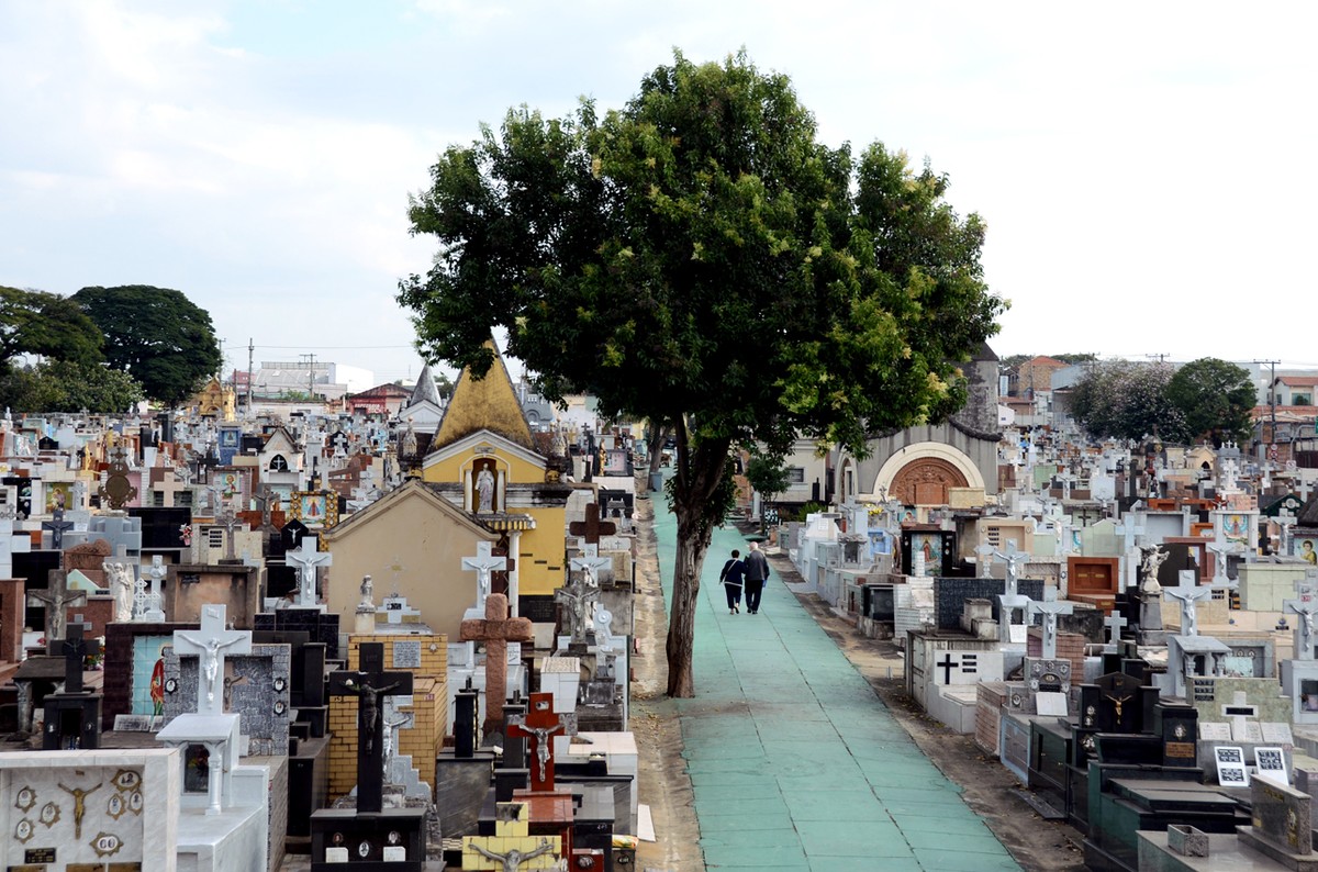 Dia De Finados Veja Quais São Os Túmulos Mais Visitados Nos Cemitérios 
