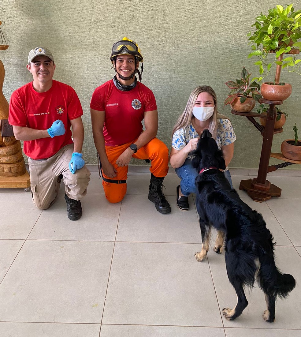 Equipe do corpo de bombeiros, veterinária e cachorro após procedimento em Teresina — Foto: Reprodução Pessoal