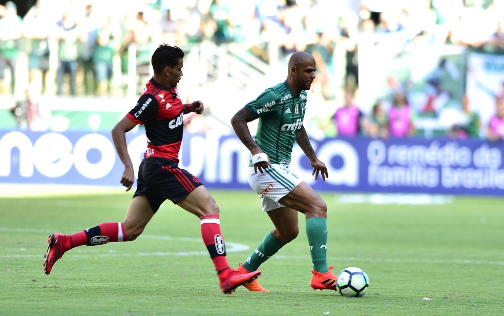 Felipe Melo voltou a ser titular do Palmeiras após três meses (Foto: Marcos Ribolli)