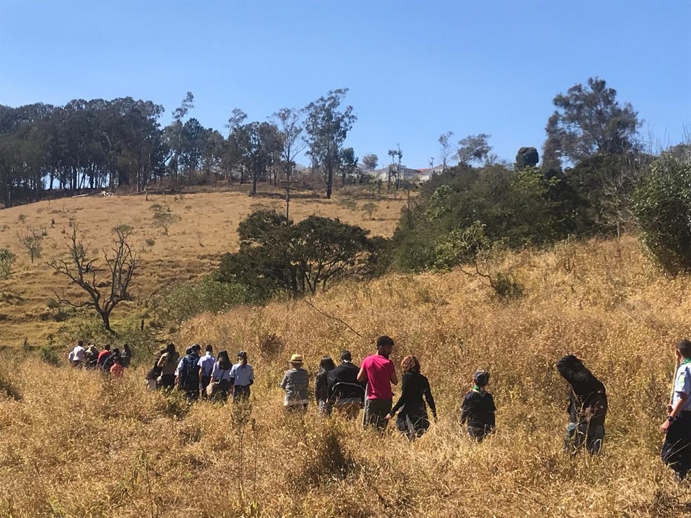 Quatro trilhas foram abertas para a população passear, preservar e ajudar a plantar as mudas em Barbacena — Foto: Érica Elke/Divulgação