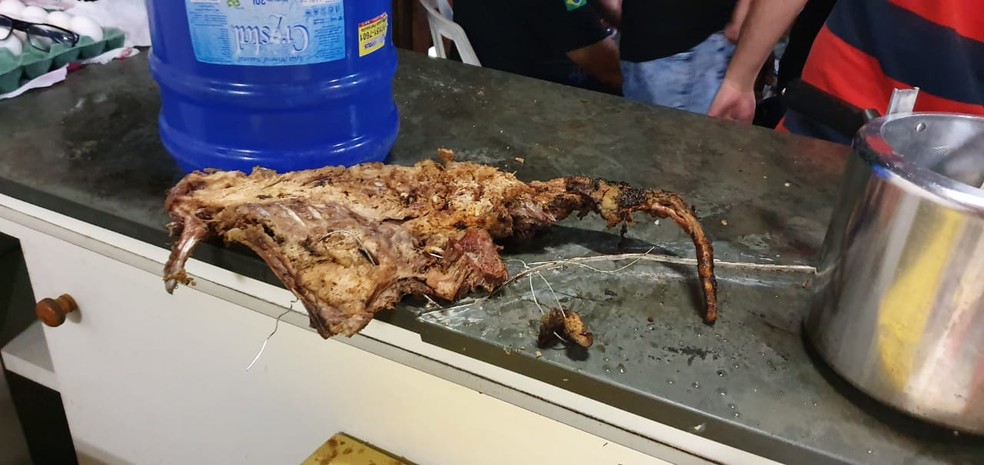 Carcaça de cão achada assada em local de rinha; polícia diz que animal foi assado e servido aos apostadores em Mairiporã — Foto: Divulgação Polícia Civil