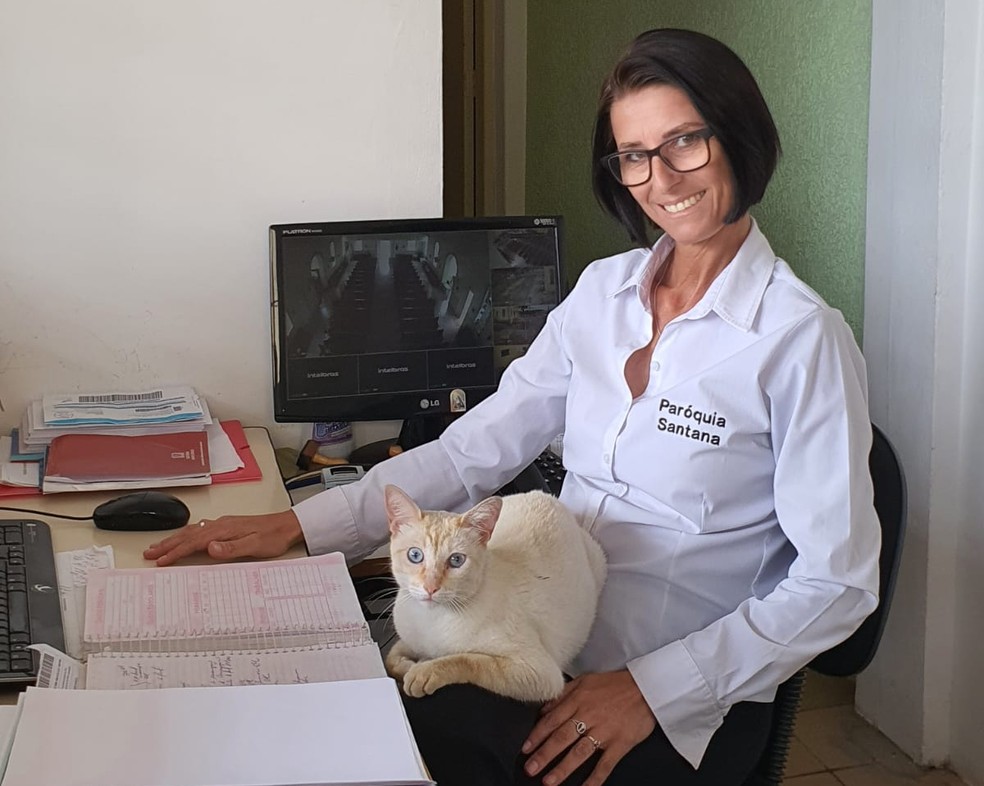 A gata virou companhia para os funcionários administravivos da igreja em Itapetininga (SP) — Foto: Rosângela Aparecida Pedrico/Arquivo pessoal