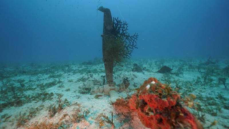 Hélice de um dos aviões coberta de coral (Foto: Universidade de Delaware/Projeto Recover)
