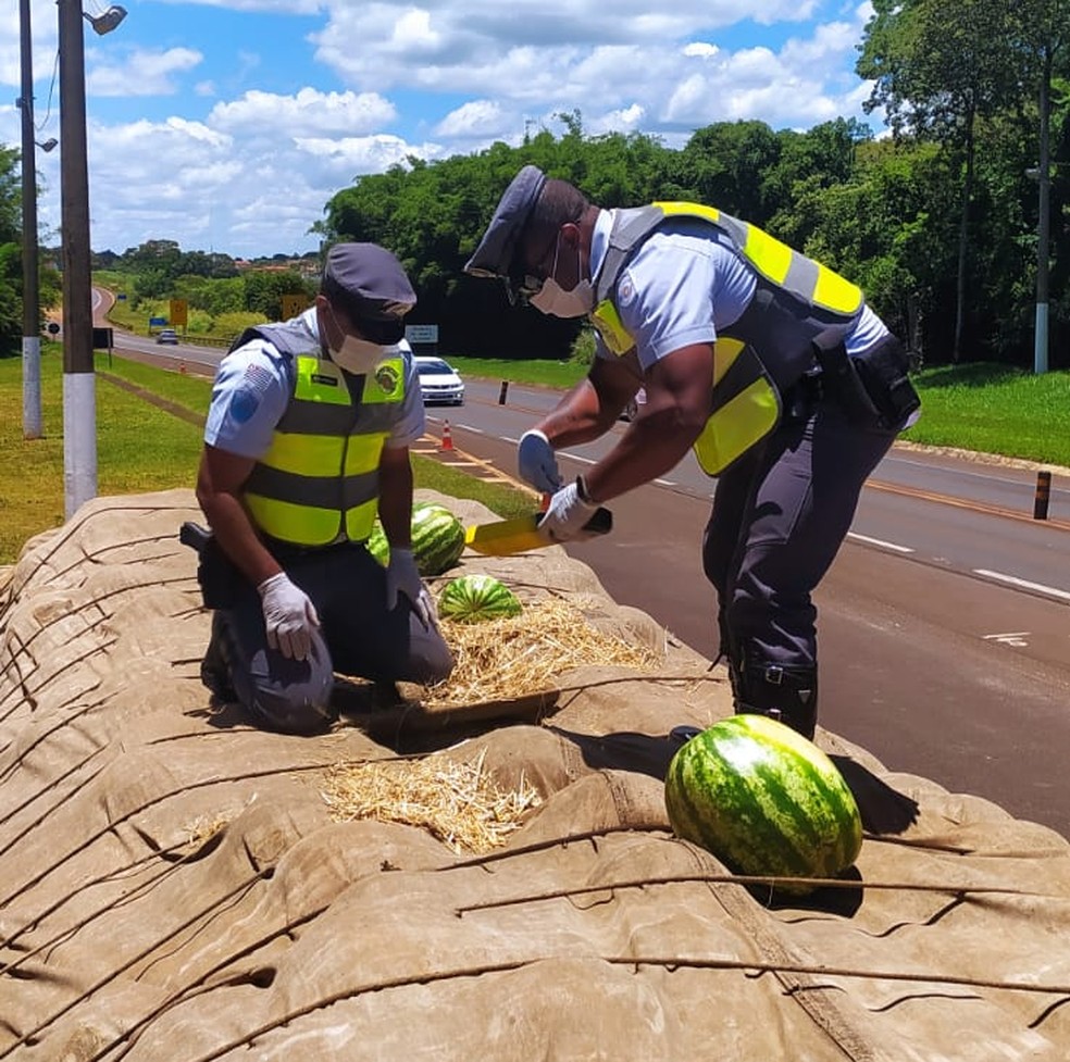 Policiais abordaram caminhão com placas do Paraná durante 'Operação Natal' — Foto: Divulgação/PM Rodoviária 