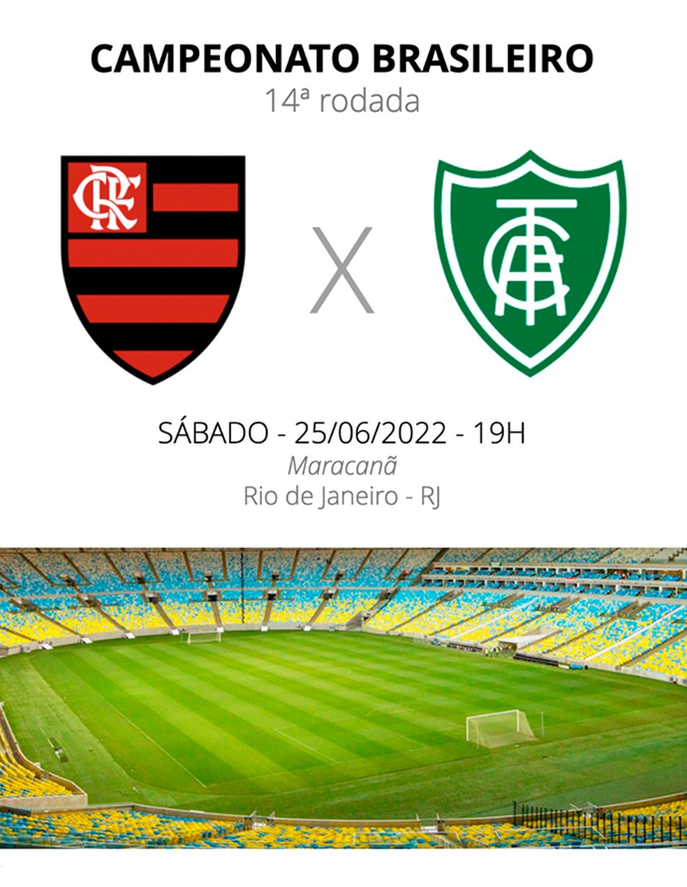 Flamengo e América-MG se enfrentam neste sábado — Foto: ge