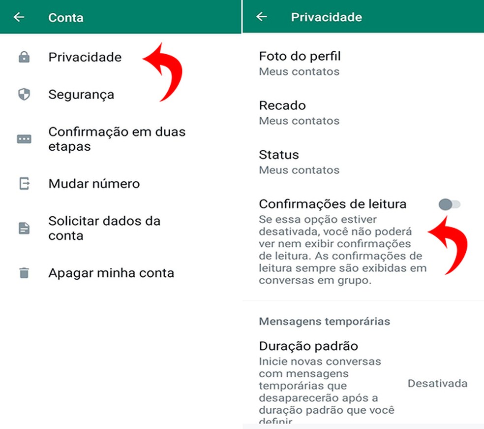 Desative confirmação de leitura no WhatsApp para mais privacidade — Foto: Reprodução/Flávia Fernandes